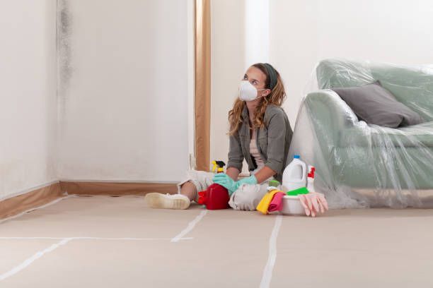 Reliable Mold Remediation contractor in Willow Grove, PA by WQB Mold Removal